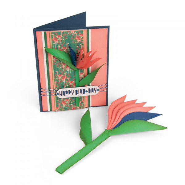 Sizzix Framelits Dies By Lynda Kanase, Bird Of Paradise (Retired)