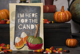 Sizzix Thinlits Dies By Tim Holtz 29/Pkg, Trick Or Treat Colorize