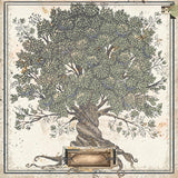 Once Upon A Lifetime, Double-Sided Cardstock 12"X12", Family Tree