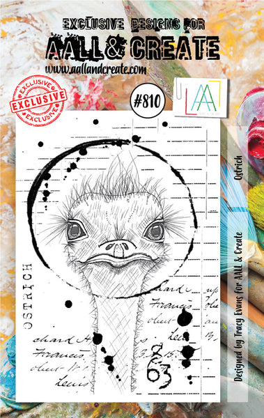 AALL & Create, #810, Ostrich, A7 Clear Stamp, Designed by Tracy Evans