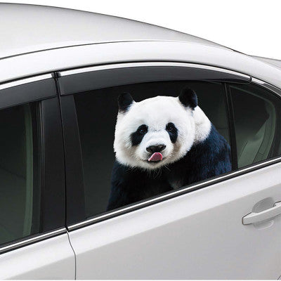Joy Riders, Panda