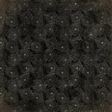 Authentique, Masquerade Double-Sided Cardstock 12"X12", #2 Spider Webs