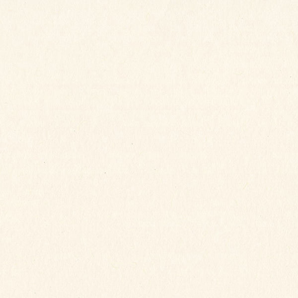 Bazzill Classic Cardstock 12"X12", 80 lbs, Natural/Smoothies