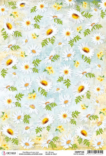 Ciao Bella Rice Paper Sheet A4, White Daisies, Microcosmos