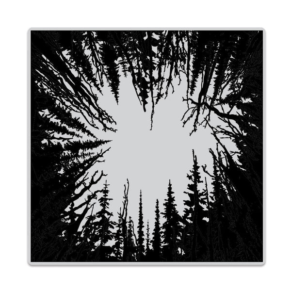 Hero Arts Cling Stamps 6"X6", Cathedral Of Trees Bold Prints
