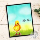Hero Arts Color Layering Clear Stamps 4"X6", Duckling