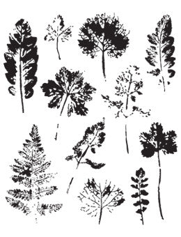 Tim Holtz, Stamp Set:  Leaf Prints
