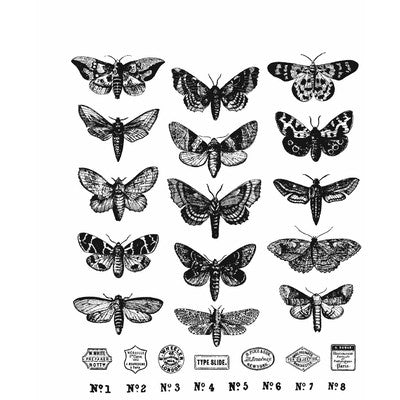 Tim Holtz Cling Stamp, Moth Study (CMS436)