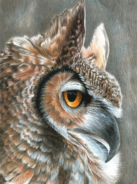 Royal & Langnickel, Color Pencil By Number Kit 8.75"X11.75", Sepia Owl