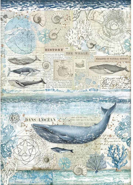 Stamperia A3 Rice Paper Sheet, 11.75"x16.5", Arctic Antarctic - History of the Whale