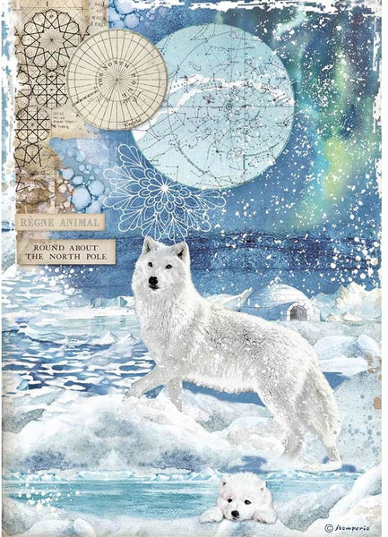 Stamperia Rice Paper Sheet A4, Arctic Antarctic - Wolf