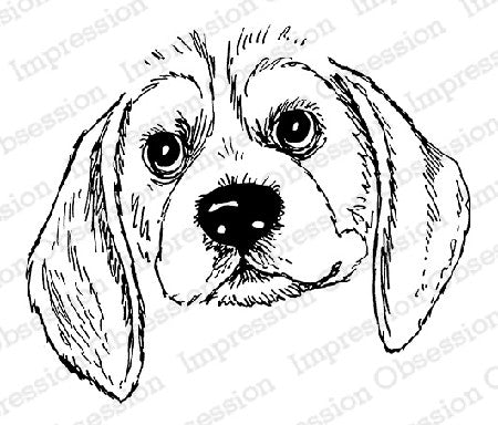 Impression Obsession, Beagle, Cling Stamp