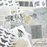 49 And Market Collage Sheets 6"X8" 40/Pkg, Color Swatch: Eucalyptus