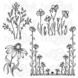 Heartfelt Creations, Backyard Blossoms Collection, Cling Stamps & Dies Set Combo, Garden's Edge Coneflower
