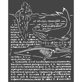 Stamperia, Stencil 7.87"X9.84", Whale, Arctic Antarctic