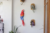 Papercraft World, 3D Papercraft Model DIY Kit, Wall Art - Macaw