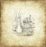 12"x12" Double-Sided Peter's World Collection Pack