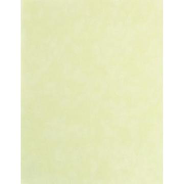 Mint Velvet Paper 8 1/2" x 11"