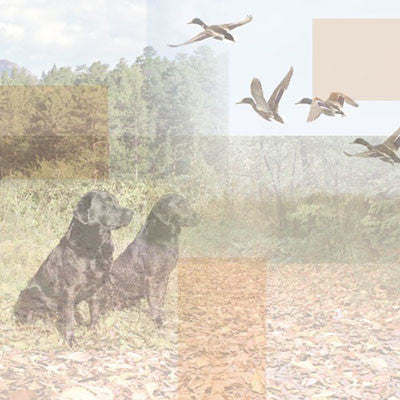 12" x 12" Duck Hunting Collage Paper - Scrapbooking Fairies