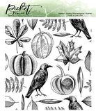 Picket Fence Studios 4"X4" Stamp Set, Autumn Harvest Collage