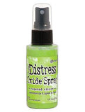 Tim Holtz Distress Oxide Spray 1.9fl oz, Twisted Citron