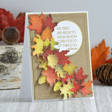 Spellbinders Nestabilities Essential, Circles Etched Dies