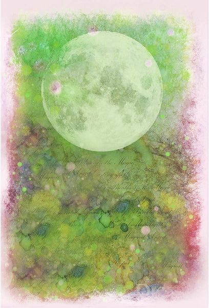 Lavinia Stamps, Scene-Scapes, Nurture