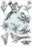 Craft Consortium A5 Clear Stamps, Birds, Woodland