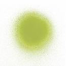 IZINK Dye Spray Seth Apter, Spring Green (Fast Drying, No Clog)