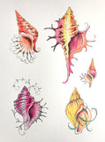Pink Ink Designs, A5 Clear Stamps Set, Shells